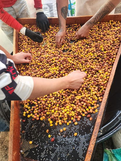 Colombia La Joya Espresso